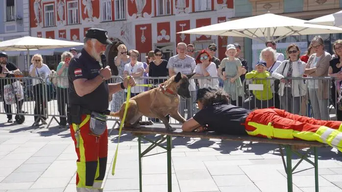 Am Leobener Hauptplatz fand am Sonntag der Internationale Tag des Rettungshundes statt. 