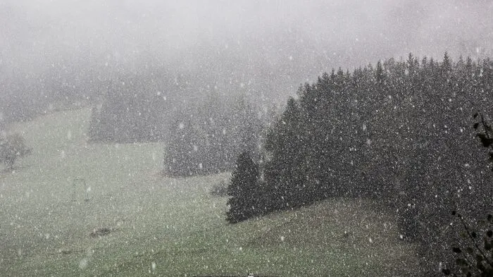 In Kartitsch fielen um die Mittagszeit dicke Flocken