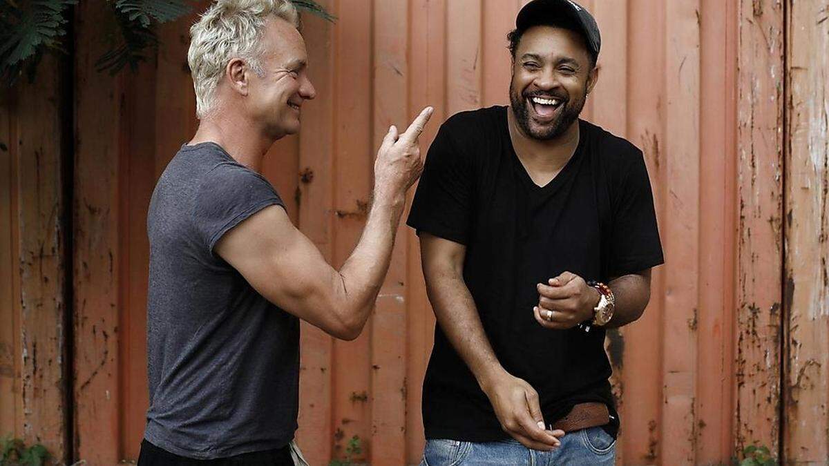 Sting, sein Bizeps und Shaggy