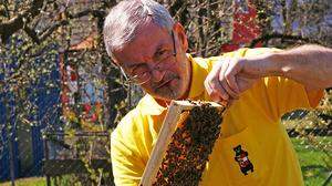 Imker Johann Wenzel beruhigt seine Bienen