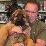 Arnold Schwarzenegger stellte "Schnitzel" vor