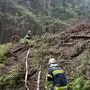 An der Böschung schlug der Blitz in das Stromkabel ein