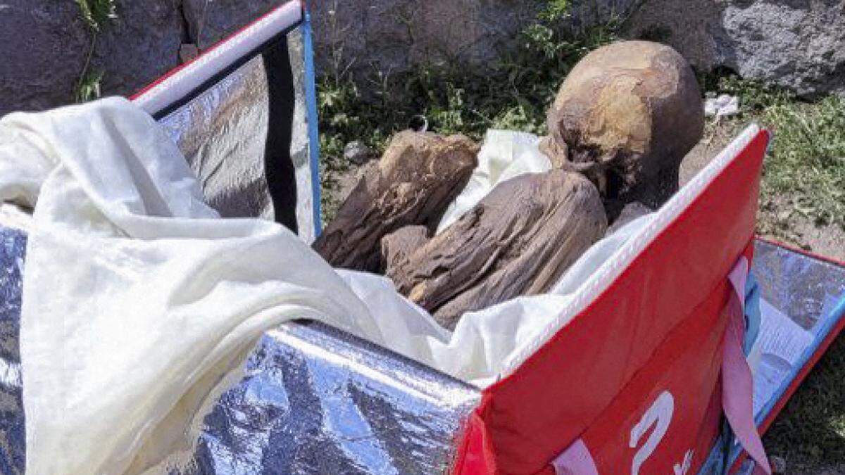  Die Mumie soll den Behörden zufolge zwischen 600 und 800 Jahre alt sein und befand sich in einer Kühltasche, mit dem der Mann früher Lebensmittel ausgeliefert hatte.
