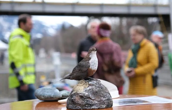 Auch über die Vogelwelt an der Isel sowie die zehn im Fluss lebenden Fischarten gab es Auskunft