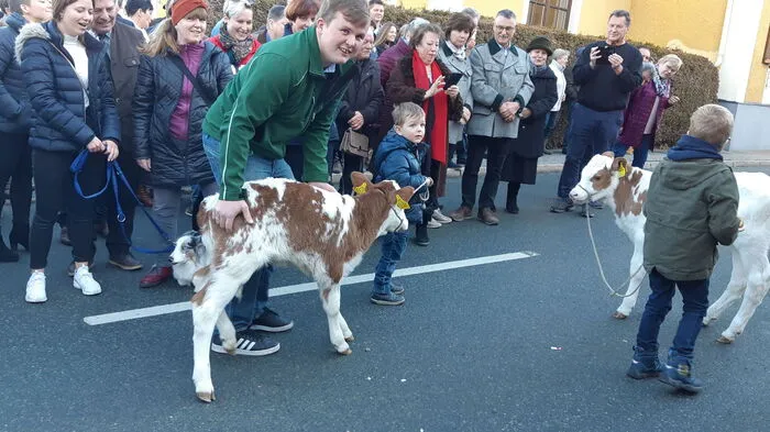 Zahlreiche Besucherinnen und Besucher kamen am Sonntag zur mittlerweile traditionellen Tiersegnung in St. Ulrich.