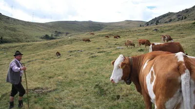 Auf der Glitzalm im Koralmgebiet soll das Kraftwerk entstehen
