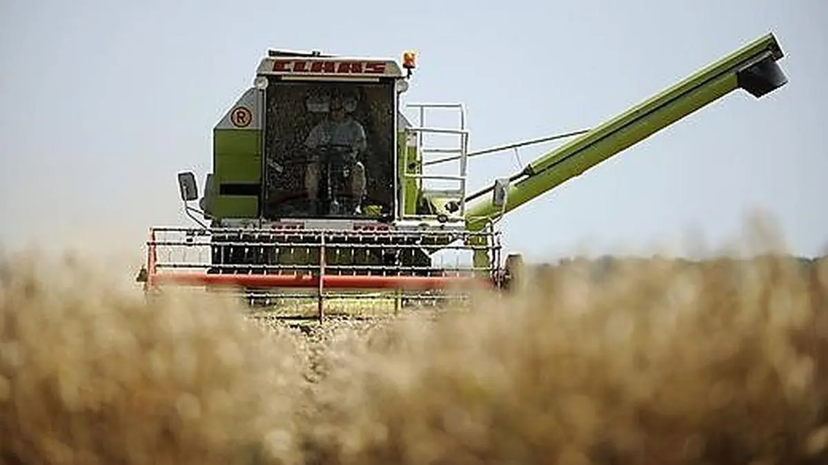 Auch Mähdrescher werden jetzt wieder vermehrt unterwegs sein (Archivbild) 