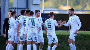 Der DSV Leoben jubelte nach dem 3:0 in Lafnitz