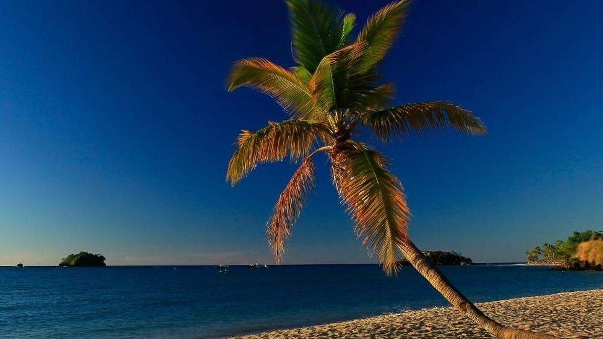 Sommer, Sonne, Palmenstrand: Wohlmuth entführt in sonnige Gefilde