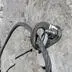 Bei einer Klettertour im Hochschwabgebiet geriet ein 50-jähriger Mann in Notlage (Sujetbild)