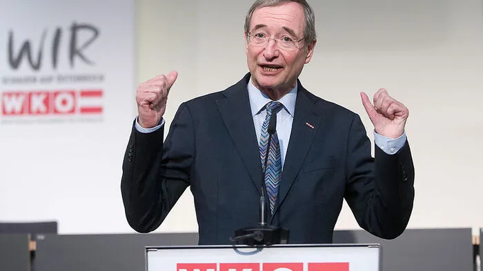 Ex-Wirtschaftskammerpräsident Christoph Leitl hat eine Stiftung gegründet.