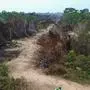 In Brasiliens Amazonas-Region kam es zu einem Rekord-Waldverlust 