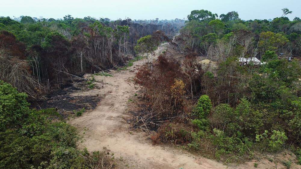In Brasiliens Amazonas-Region kam es zu einem Rekord-Waldverlust 