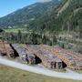 Der Klimawandel macht Osttirols Wäldern zu schaffen und heizt den Borkenkäferbefall an