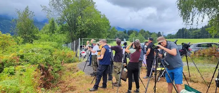 Mehrere Menschen stehen auf einer Wiese und beobachten Vögel