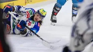 Nikita Scherbak verlässt den VSV