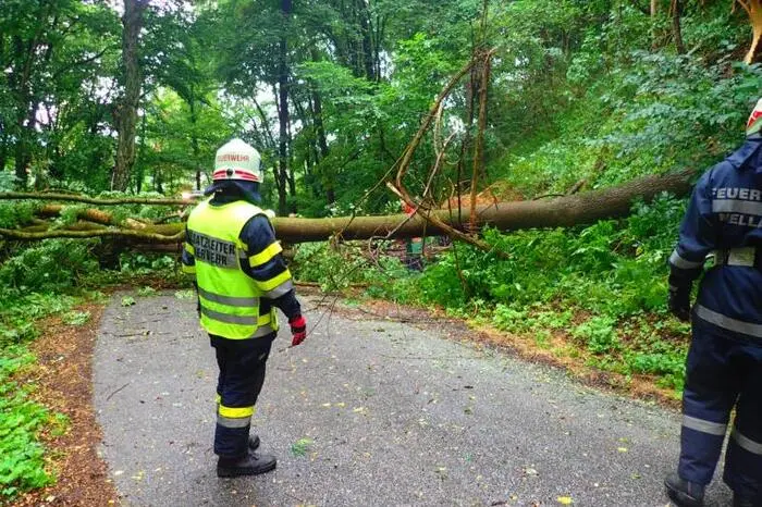 Einsatz in Mellach