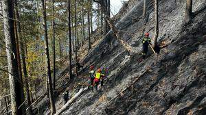 120 Hektar Wald sind vom größten steirischen Waldbrand betroffen