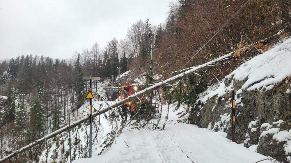 Die Bergstrecke der Mariazellerbahn zwischen Laubenbachmühle in Niederösterreich und Mariazell in der Steiermark war rund vier Wochen lang gesperrt