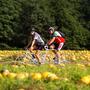 Die herbstliche Jahreszeit lockt viele Urlauber in die Südweststeiermark, die Herbstferien sorgen zusätzlich noch einmal für ein Hoch an Anfragen