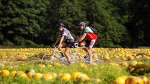 Die herbstliche Jahreszeit lockt viele Urlauber in die Südweststeiermark, die Herbstferien sorgen zusätzlich noch einmal für ein Hoch an Anfragen