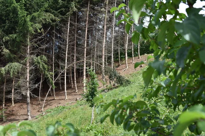 Dieses Siegerbild der Kategorie" KLARe Sicht- den Klimawandel im Auge" stammt von Klara Konrad.