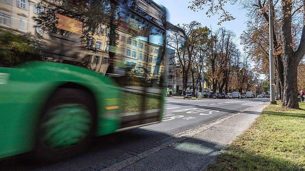 Kostenlos mit dem Bus unterwegs: in Tallinn ist das bereits Wirklichkeit