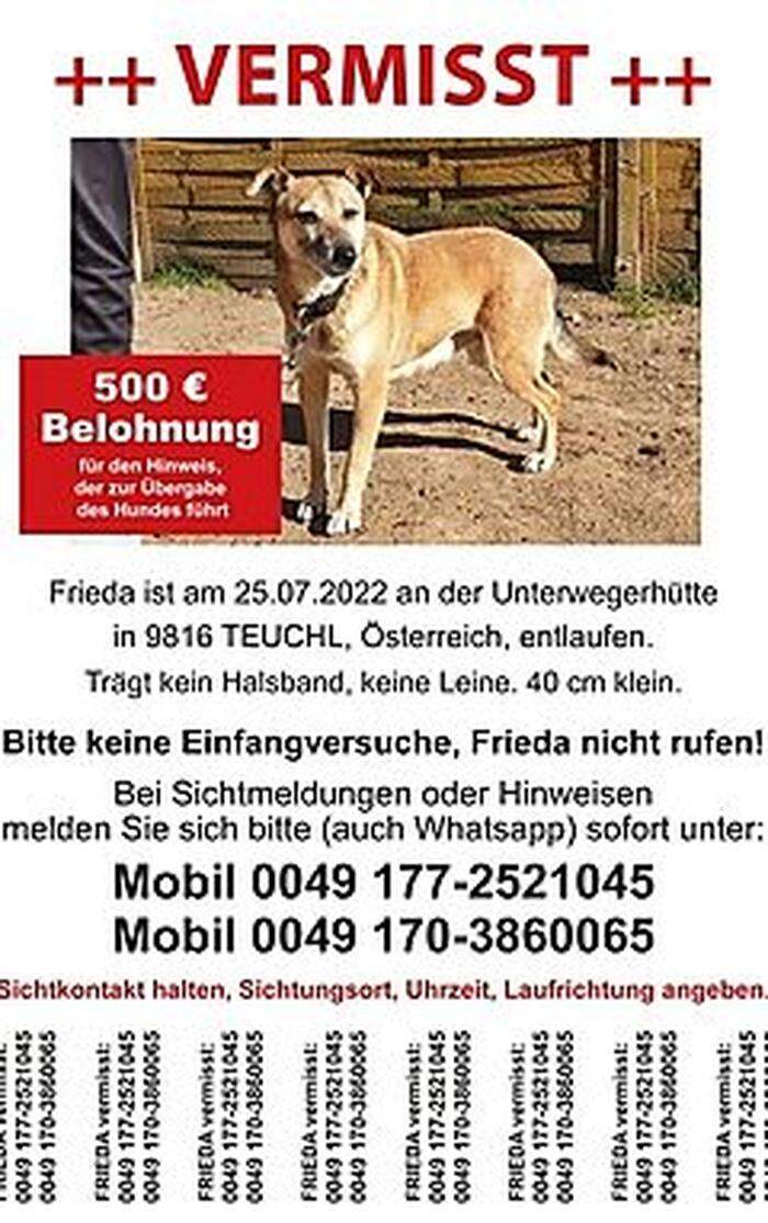 Diese Flyer wurden im Mölltal verteilt