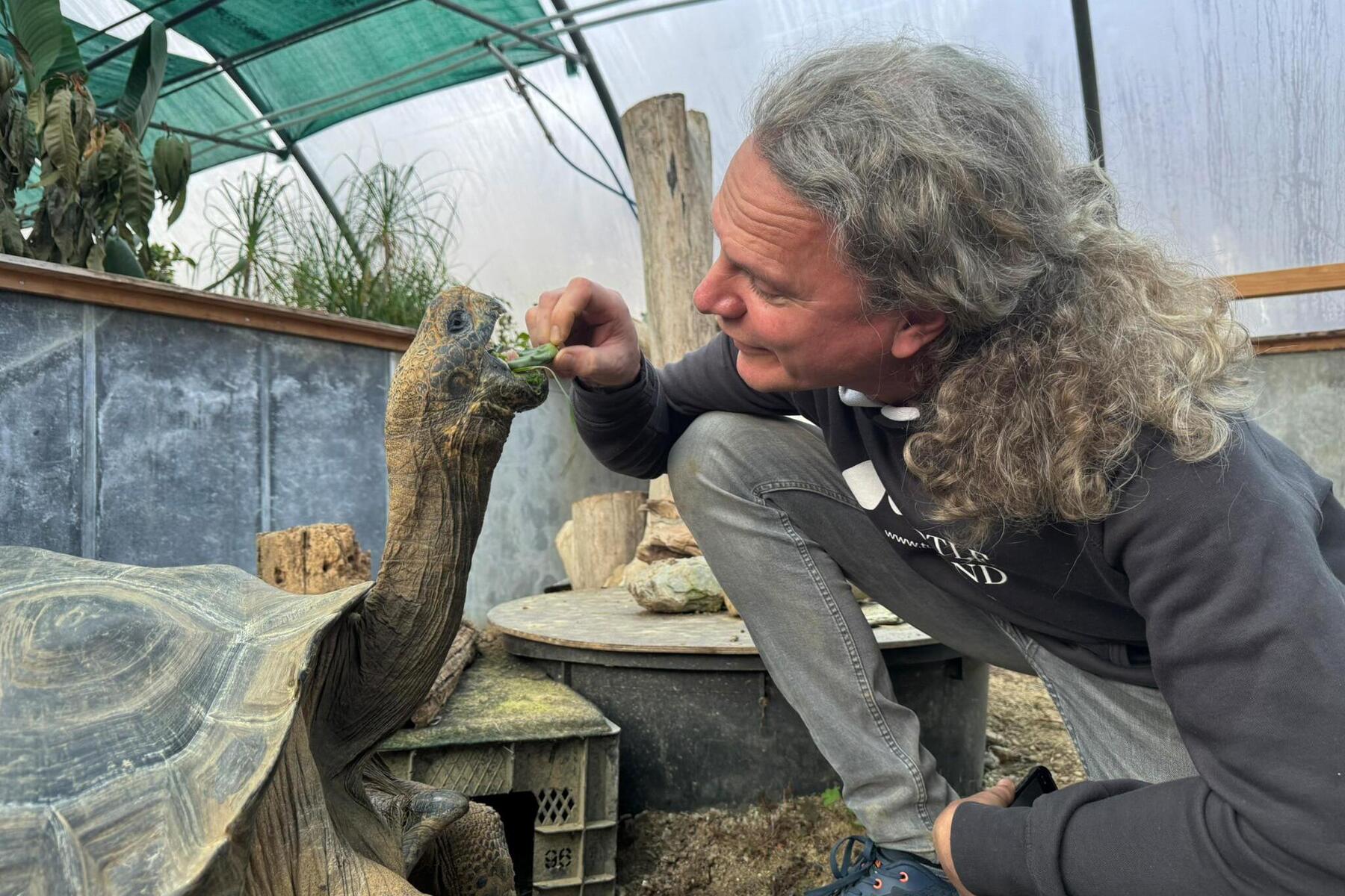 Turtle Island: Verliert die Steiermark ihr Schildkröten-Paradies?