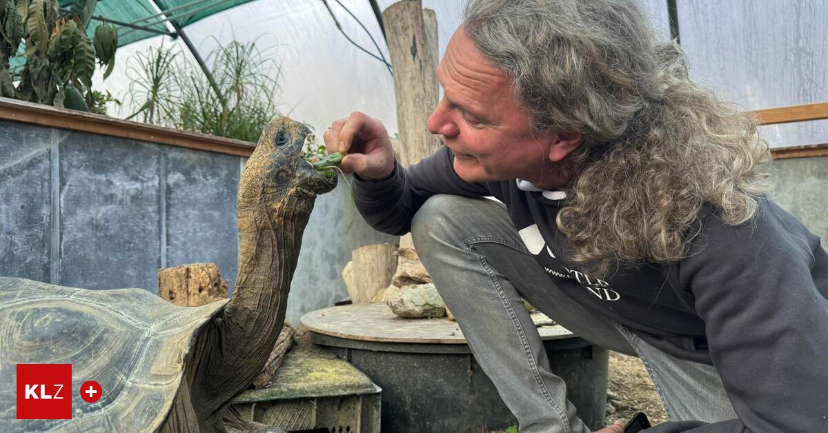 Turtle-Island-Verliert-die-Steiermark-ihr-Schildkr-ten-Paradies-