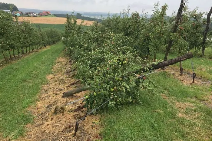 Auch der Sturm richtete Schäden an (Bild: Gersdorf/Feistritz).