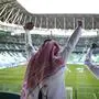 Jubel in Saudi-Arabien