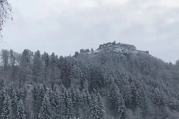 Die Burg Landskron im Winterkleid