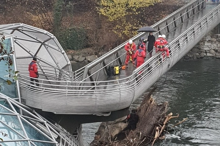 Verschiedenes Gehölz hatte sich bei der schwimmenden Sehenswürdigkeit verfangen.