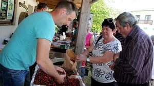 Kirschenfest/praznik češenj