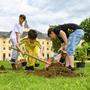 Die Schülerinnen und Schüler der Volksschule Lerchenfeld bauten Karotten, Salbei, Rosmarin und Stachelbeeren an