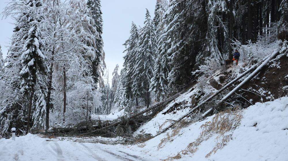 Die Straße zur Stolzalpe ist nach dem Wintereinbruch weiterhin gesperrt