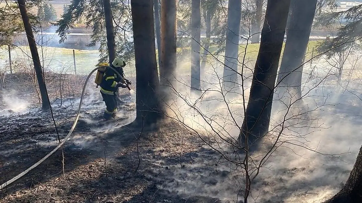 Rund 80 Feuerwehrleute standen im Einsatz 