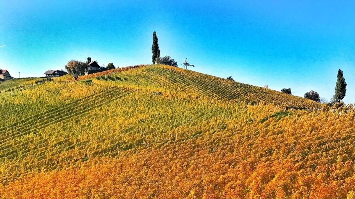 Dieses Bild aus der Südsteiermark hat uns die Bloggerin Tamara Prutsch zukommen lassen