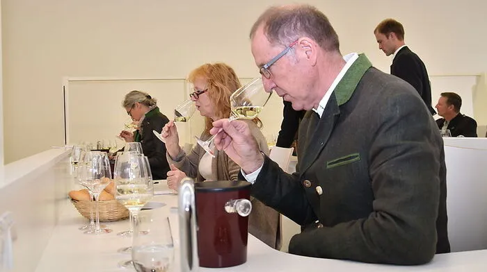 Eine Experten-Jury kürte die besten Säfte und Moste der Steiermark