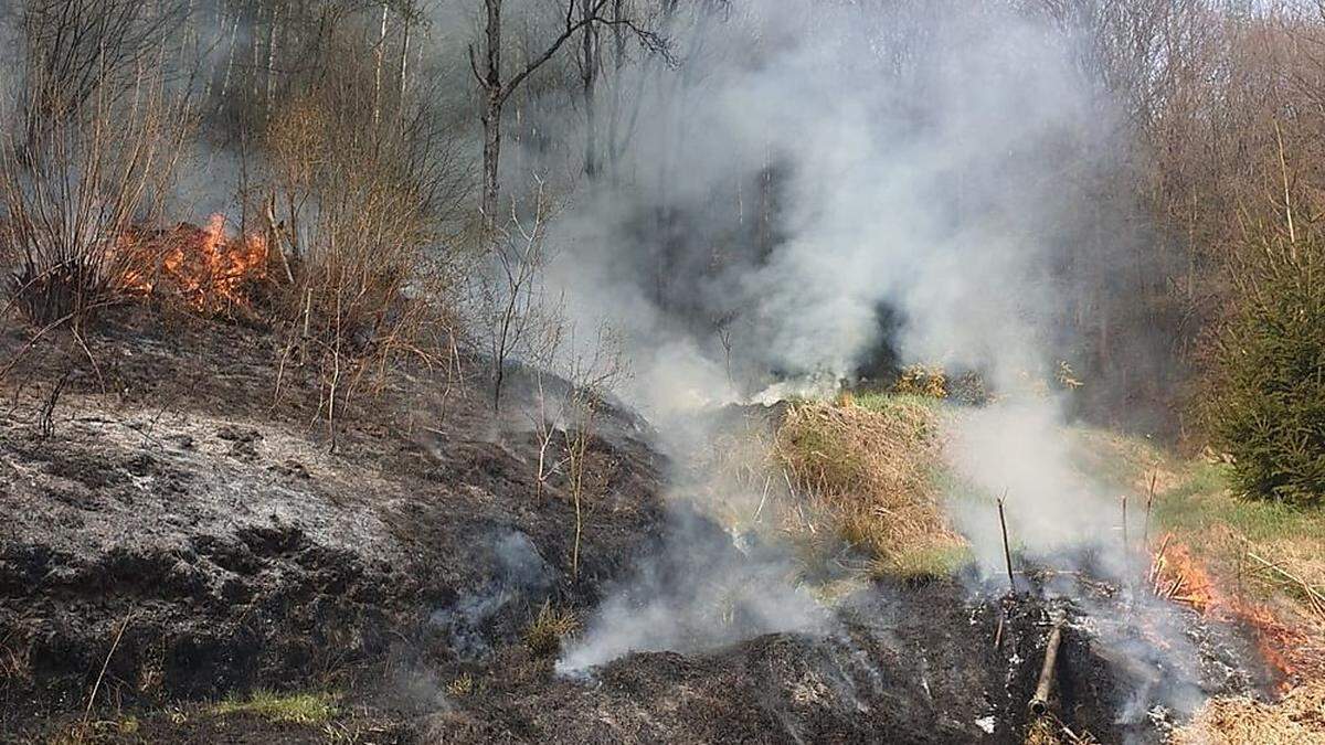 Der Bahndammbrand breitete sich rasch aus