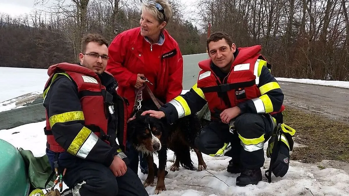 Die erleichterte Besitzerin mit Hündin "Cindy" sowie den Rettern Rene Gajsek und Martin Tapeiner