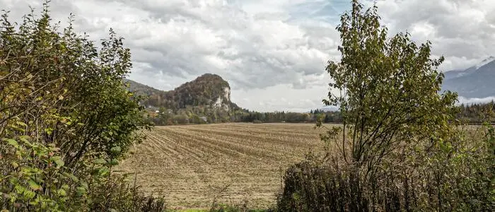 Blick auf ein herbstliches Feld, im Hintergrund Wald und Berge