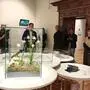 Der erste Raum der Ausstellung ist der Narzisse gewidmet