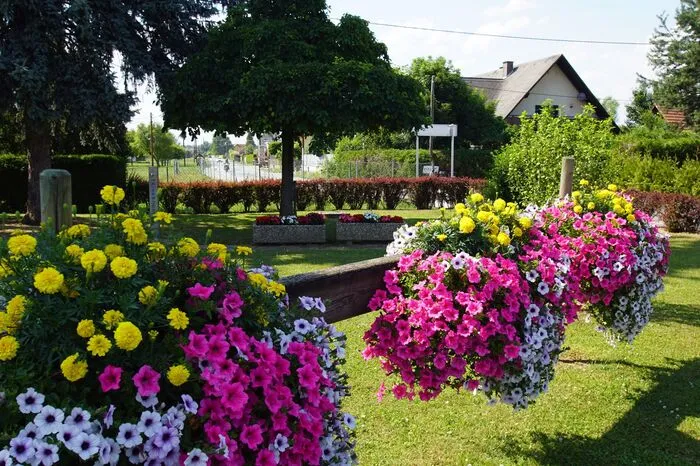 Blumenschmuck der Brücke u. Park, Ortsverschönerungsverein KG Muttendorf 