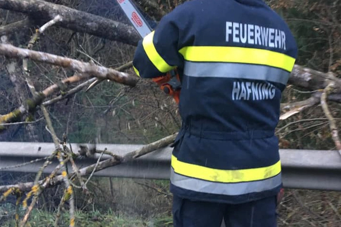 An der B115 stürzten Äste und Bäume auf die Straße.