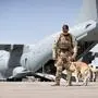 This handout photo taken and provided by the German armed forces Bundeswehr on August 17, 2021 shows a paratrooper dog handler at the airport in Tashkent, Uzbekistan, shortly before the weapons reception and departure to Kabul, Afghanistan, during a military evacuation operation. - On August 18, the German cabinet approved the mandate for the German armed forces' ongoing evacuation mission in Afghanistan. Up to 600 soldiers can be deployed for the mission until September 30 at the latest. (Photo by Marc Tessensohn and Handout / BUNDESWEHR / AFP) / RESTRICTED TO EDITORIAL USE - MANDATORY CREDIT 'AFP PHOTO / HANDOUT / MARC TESSENSOHN  / BUNDESWEHR' - NO MARKETING - NO ADVERTISING CAMPAIGNS - DISTRIBUTED AS A SERVICE TO CLIENTS