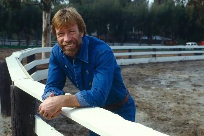 22. Chuck Norris kennt die letzte Ziffer von Pi. <br>
23. Chuck Norris hat bis Unendlich gezählt – zwei Mal. <br>
24. Chuck Norris bewegt sich niemals, das sieht nur so aus: In Wirklichkeit dreht sich die Erde, so wie er es will. <br>
25. Chuck Norris starb schon vor 20 Jahren – der Tod traut sich nur nicht, ihm das zu sagen. <br>
26. Chuck Norris verzichtet auf seine Rechte – seine Linke reicht völlig. <br>
27. Chuck Norris kann Drehtüren zuschlagen. <br>
28. Wenn Chuck Norris Zwiebeln schneidet, weinen die Zwiebeln.