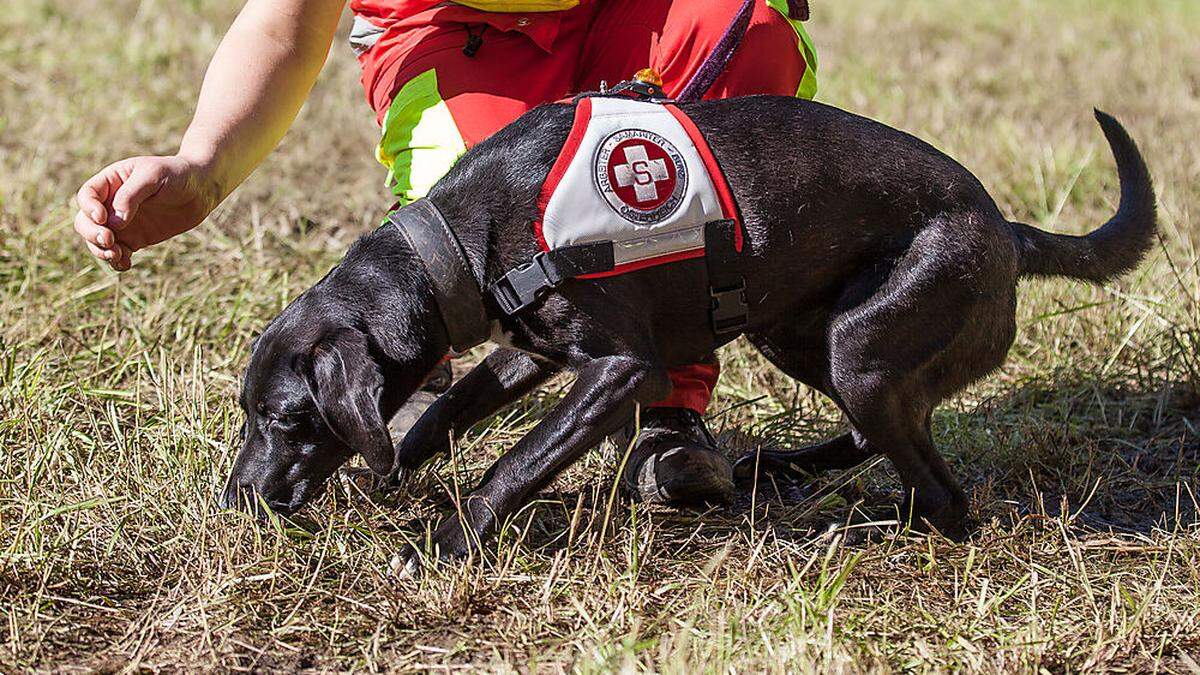 Auch Hundeführer der Rettungshundestaffel des Samariterbundes suchten nach dem Deutschen