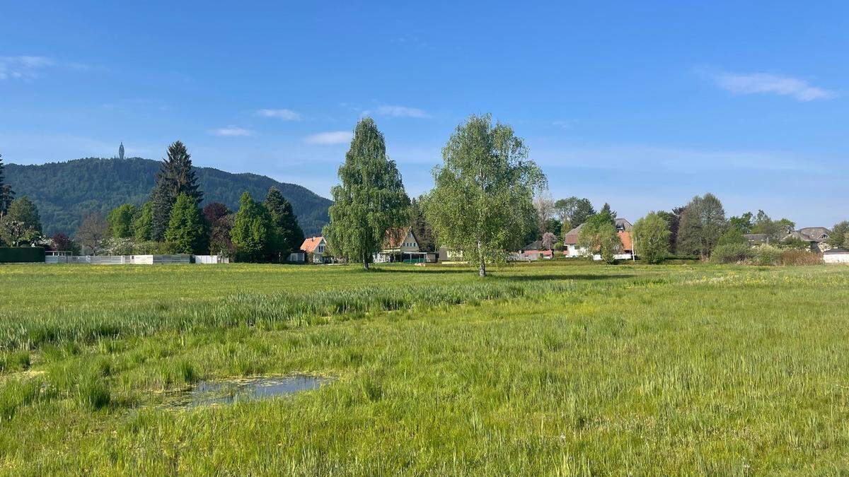 Aus dem Buberlemoos könnte bald ein Stück Wörthersee werden